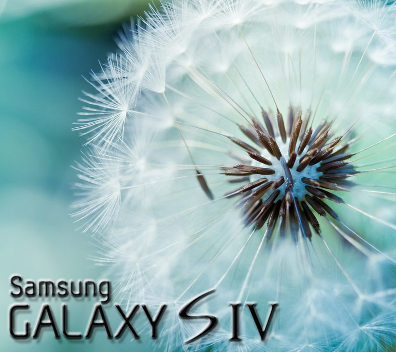 Близкий план одуванчика с надписью samsung galaxy siv (галактика, s4, samsung)