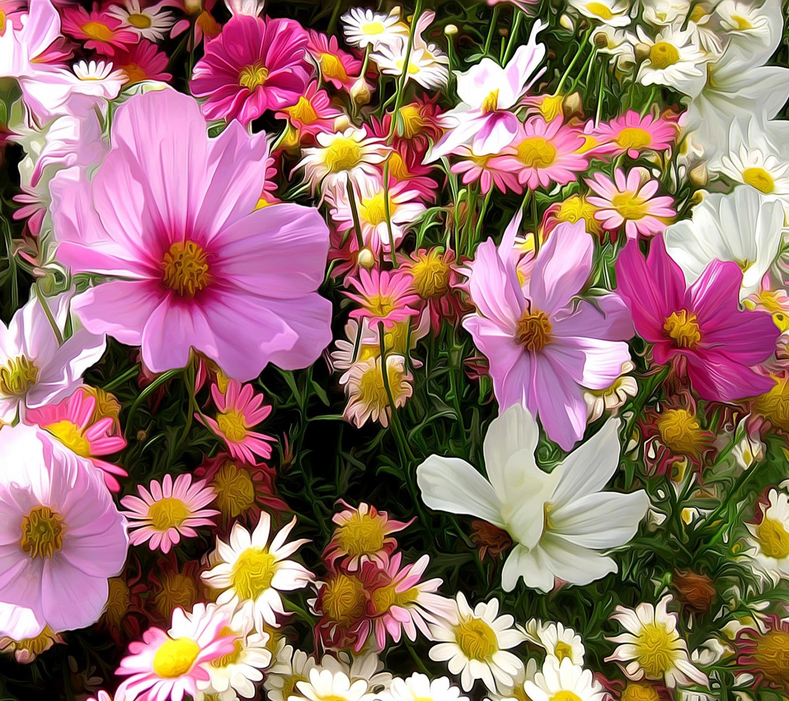 Há muitas flores de cores diferentes em um campo juntas (bonito, bom, olhar, legal)