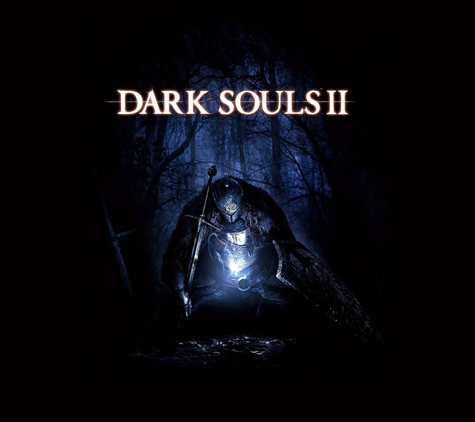 Dark souls ii wallpapers (dark souls, game)