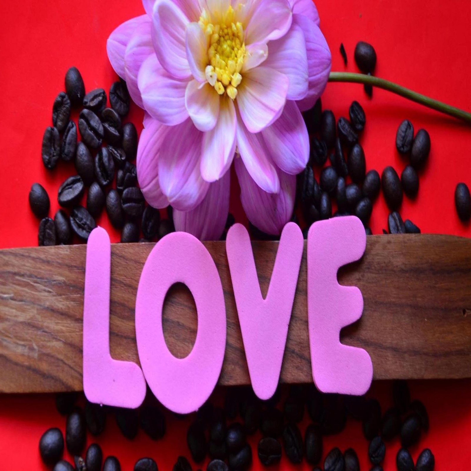 Arafed wooden sign with the word love and a flower on a red background (beautiful, cute, look, nice)