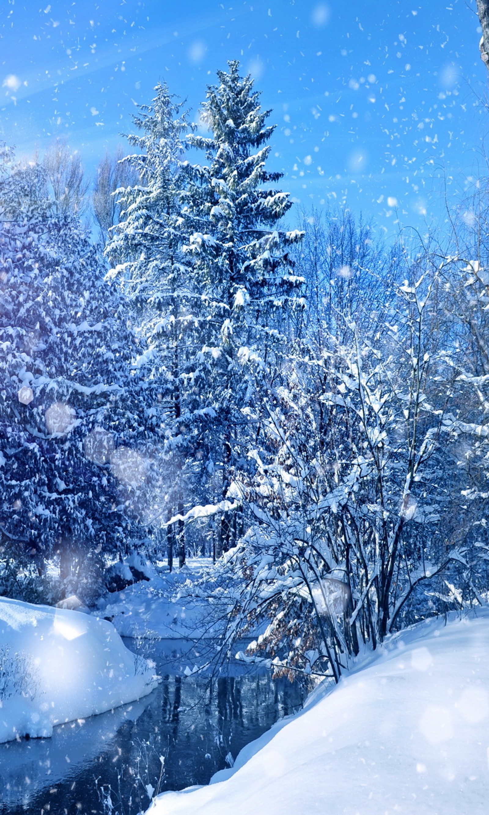 Schneebedeckte szene mit einem bach und bäumen im wald (flussbäume, sonnenschein, winterszene)