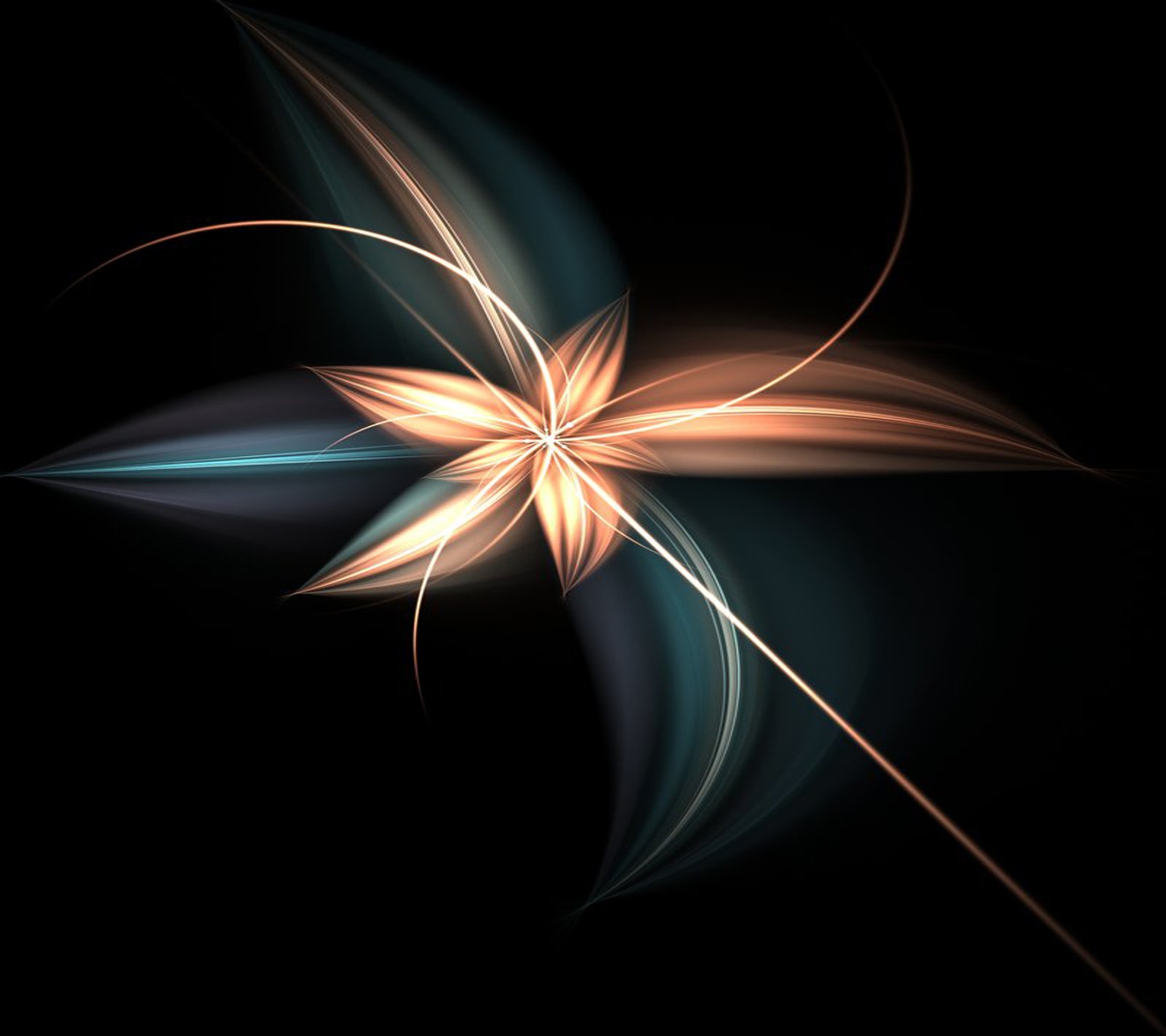 A close up of a flower with a black background (abstract, flower)