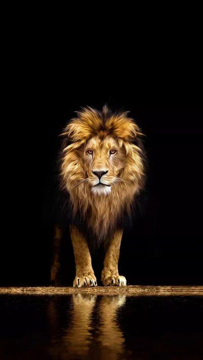 animal, danger, fearless, king, leo