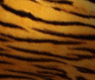 hd, hd tiger, tiger skin hd