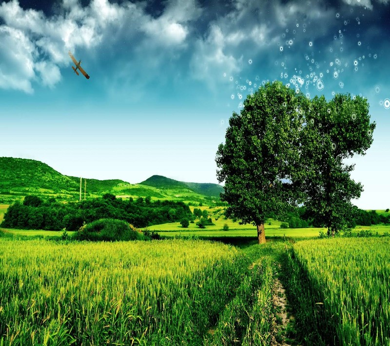 A green field with a tree and a plane flying in the sky (nature)