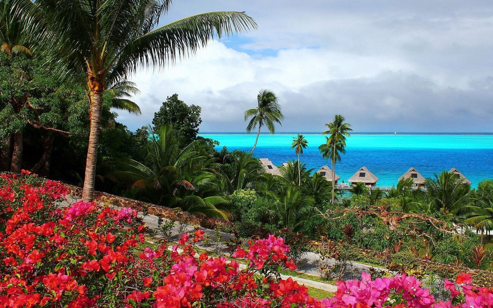 Flowers and palm trees line the hillside overlooking the ocean (nature, tropics, vegetation, caribbean, resort)