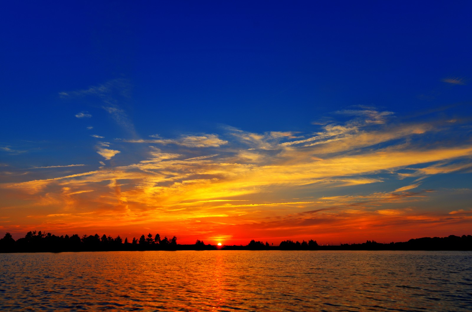 A view of a sunset over a body of water with trees in the background (sunset, afterglow, horizon, dusk, daytime)