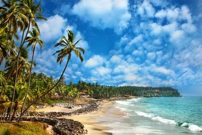 playa, costa, cuerpo de agua, trópicos, naturaleza