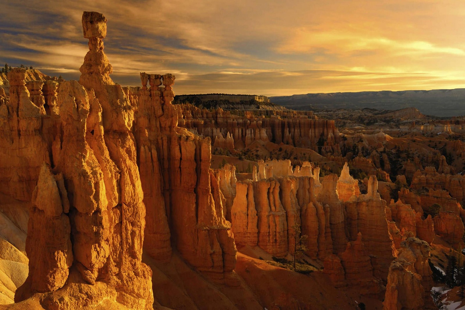 Araffe canyon in the bryce national park at sunset (bryce canyon national park, national park, bryce canyon city, park, formation)