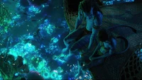 avatar the way of the water, movie, 2022, navi wallpaper