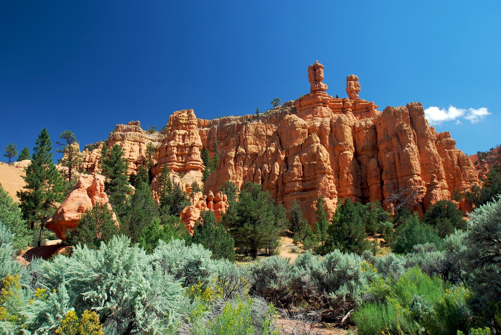 Araffes in the canyon of bryce national park (rock, formation, wilderness, national park, canyon)