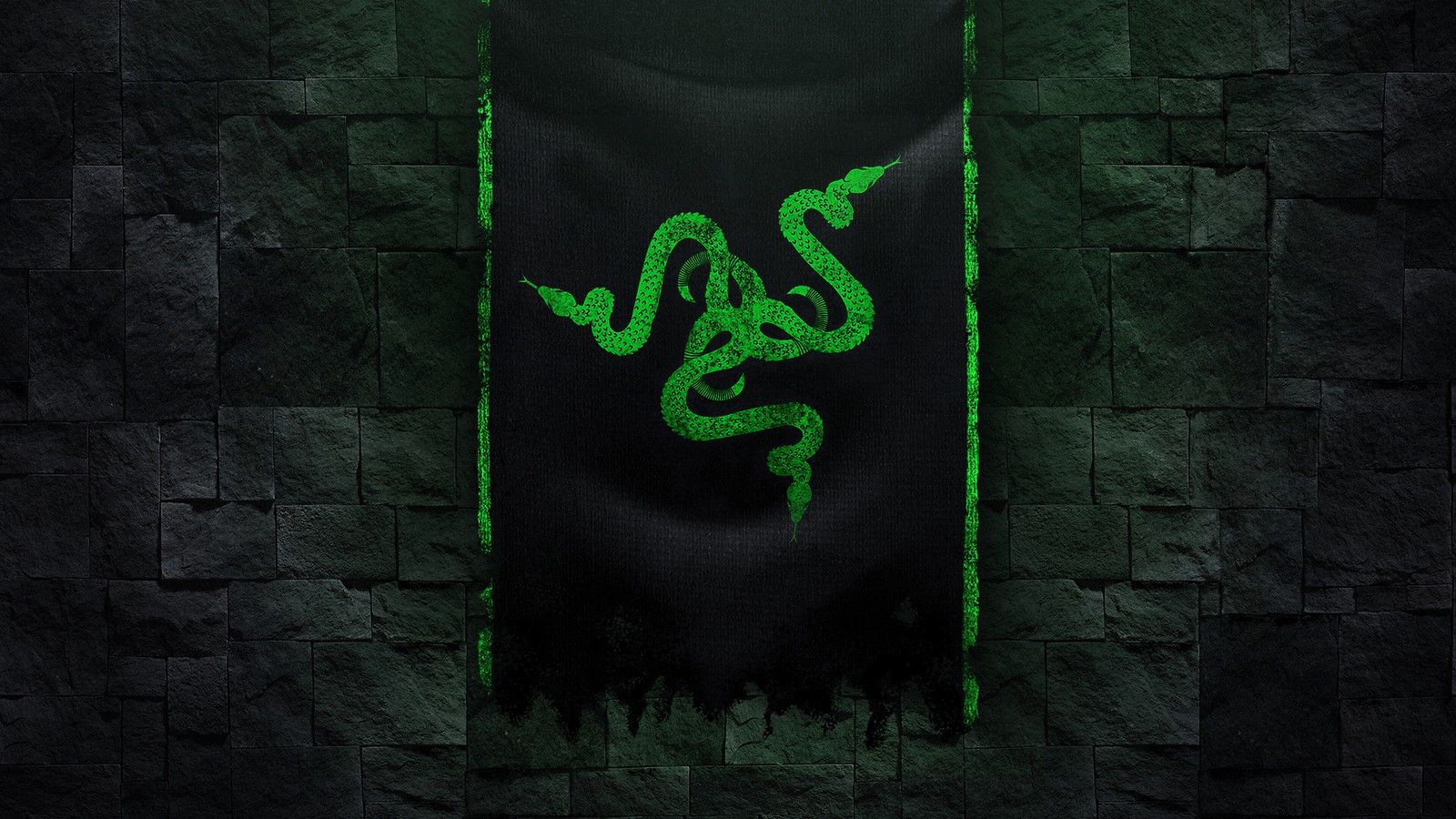 A close up of a green snake on a black wall (razer, logo, digital art)