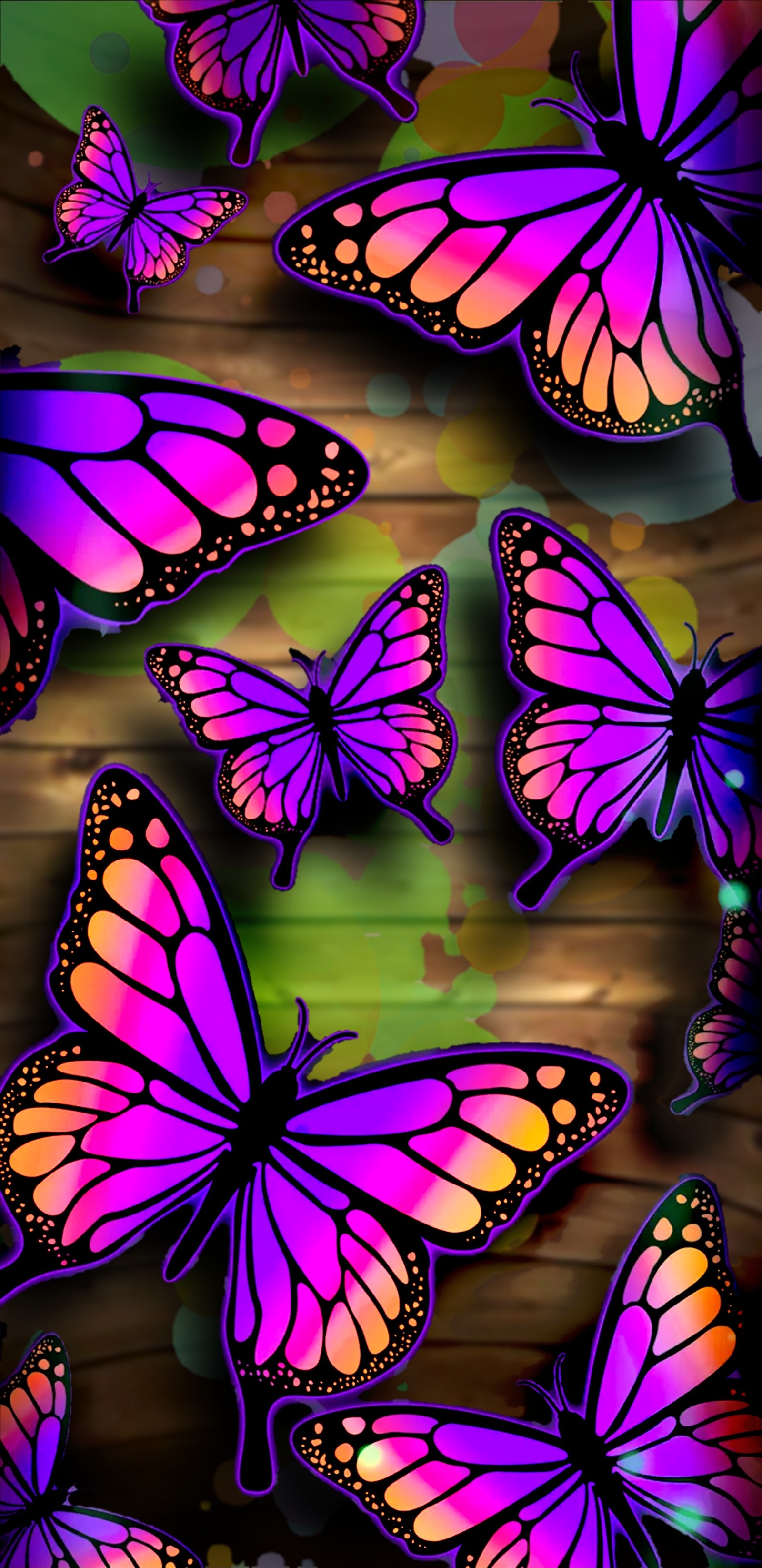 Скачать обои butterfly hd, цвета