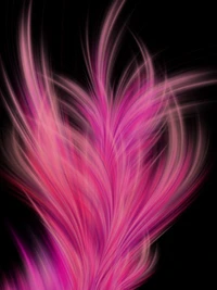 Vibrant Pink Feather Abstract on Black Background