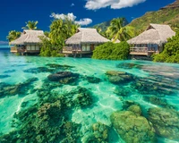 Paraíso tropical: Bangalôs sobre a água em oceano cristalino