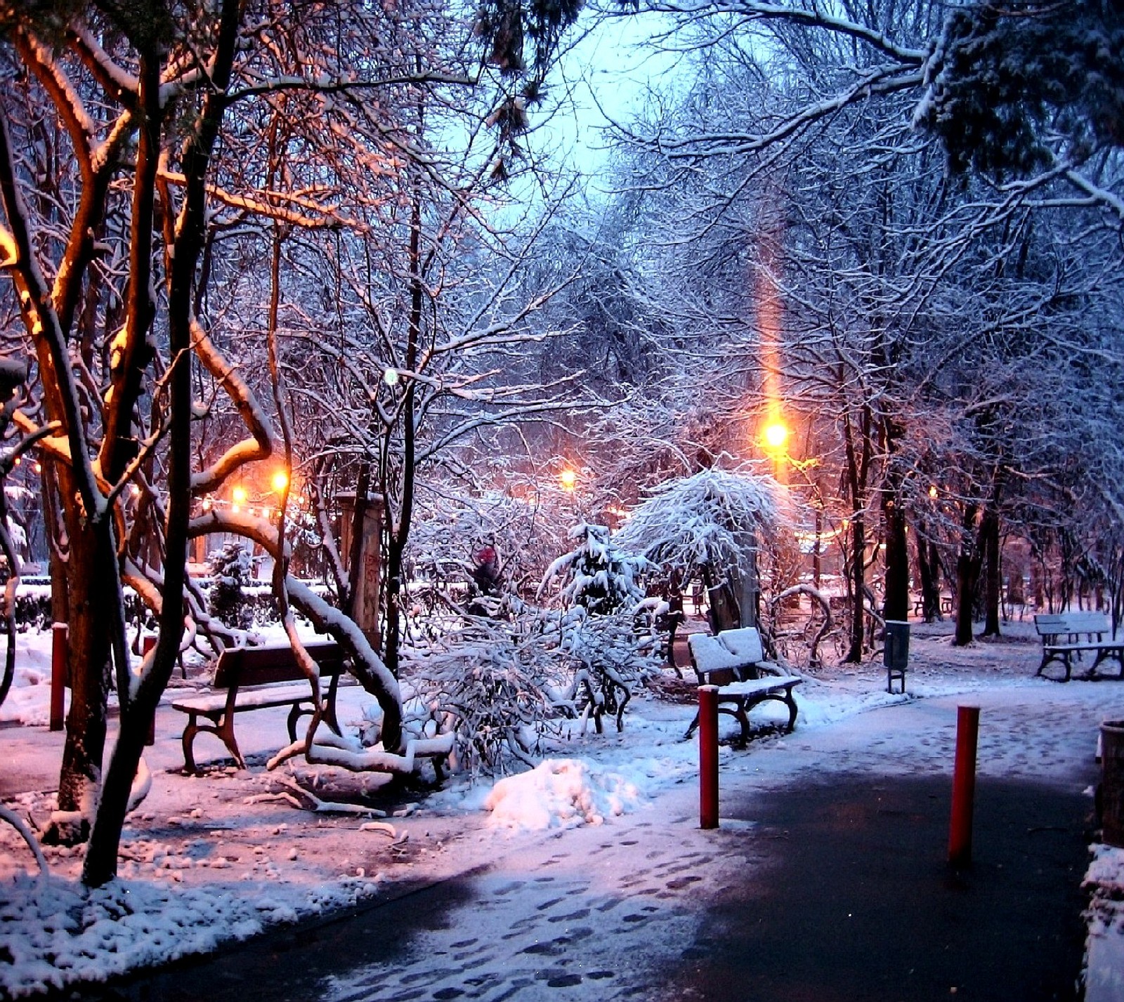 Un parc enneigé avec des bancs, des arbres et un lampadaire. (hiver)