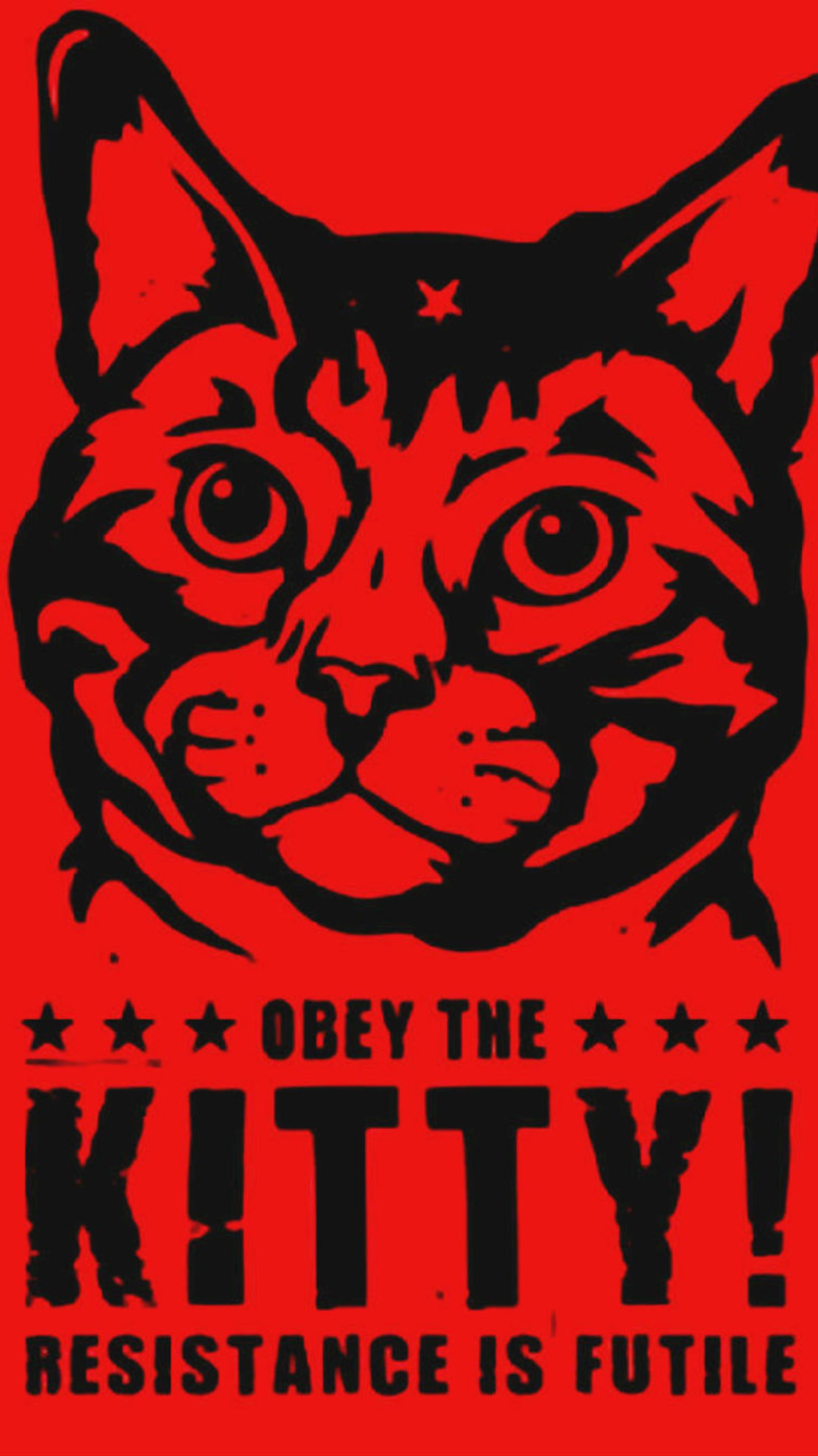 There is a black and red poster with a cat on it (cat, cute, funny, fury, haha)