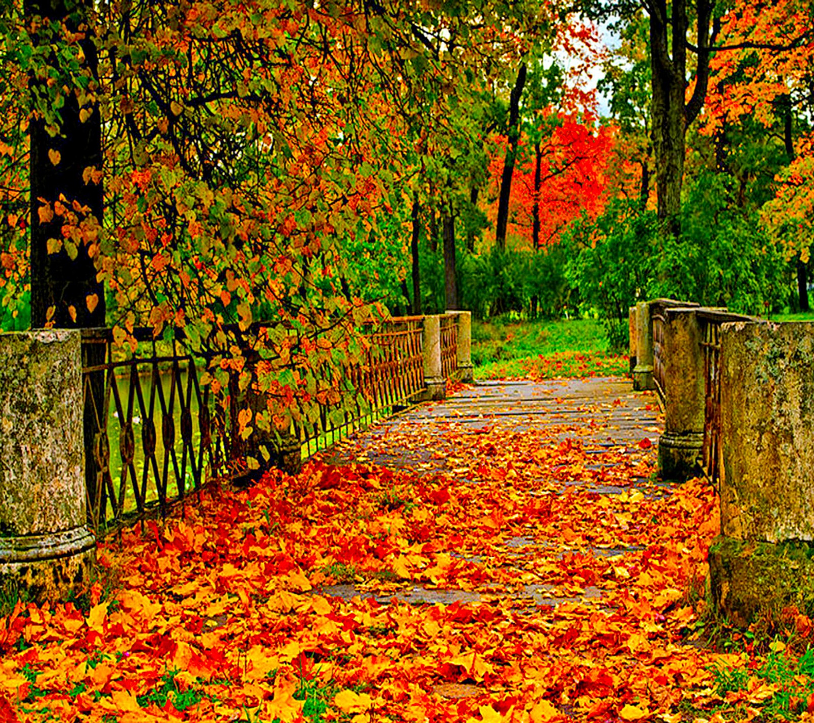 Téléchargez le fond d'écran automne, papier peint