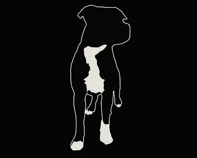 Silhouette stylisée d'un pitbull