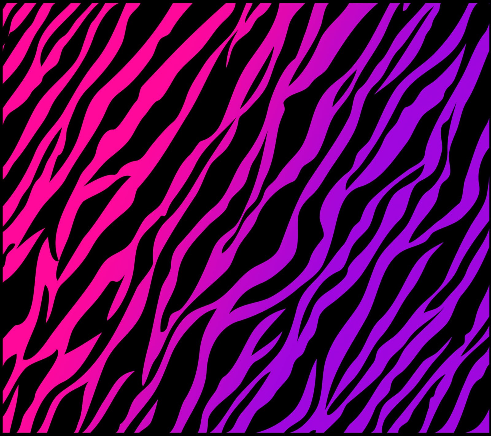 A close up of a zebra print pattern on a black background (abstract, pink, purple, zebra)