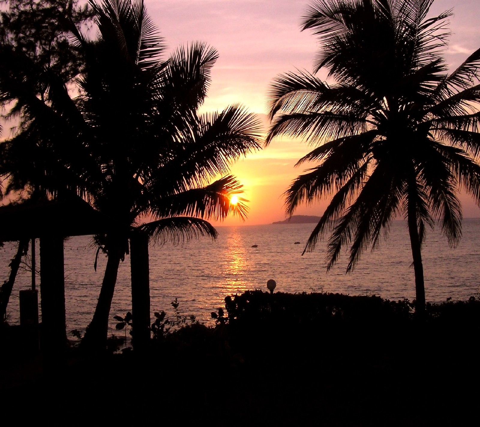 Sunset over the ocean with palm trees and a boat in the distance (nature)