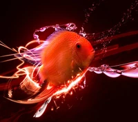 Poisson orange 3D vibrant avec des effets de lumière dynamique sur fond sombre