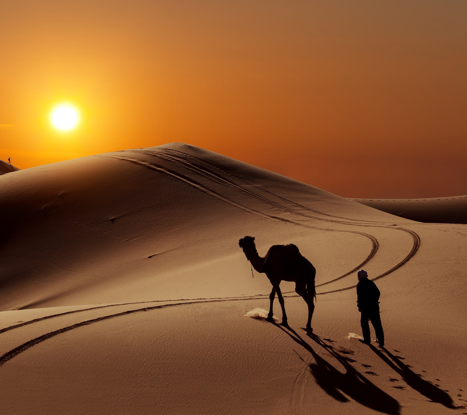 Descargar fondo de pantalla camello, desierto, viaje, arena, sol