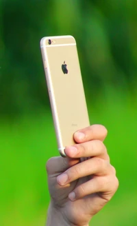 Uma mão segurando um iPhone dourado contra um fundo verde vibrante.