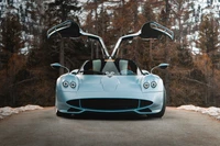 Pagani Huayra Codalunga: A Stunning Hypercar in Nature's Embrace