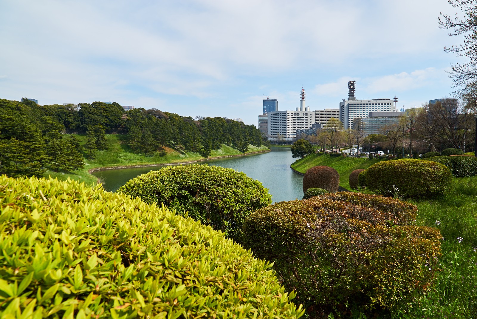 Um rio correndo por um parque verdejante ao lado de uma cidade (água, vegetação, natureza, jardim, via navegável)