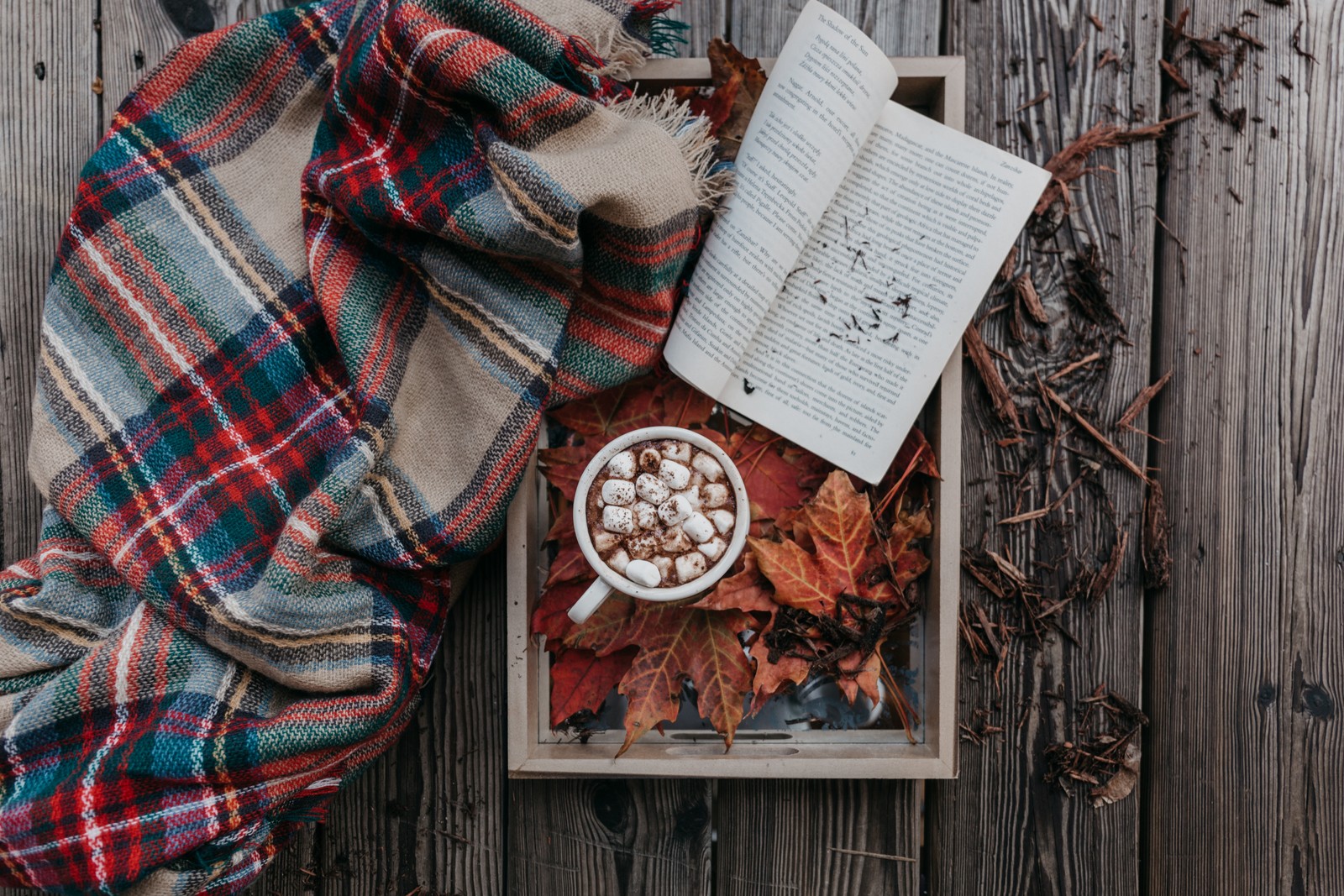 Un plateau en bois avec un livre, une tasse de chocolat chaud et une couverture à carreaux (automne, écossais, tartan, motif, textile)