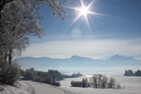 Serene Winter Landscape with Snow-Covered Trees and Mountain Range Under a Bright Sun