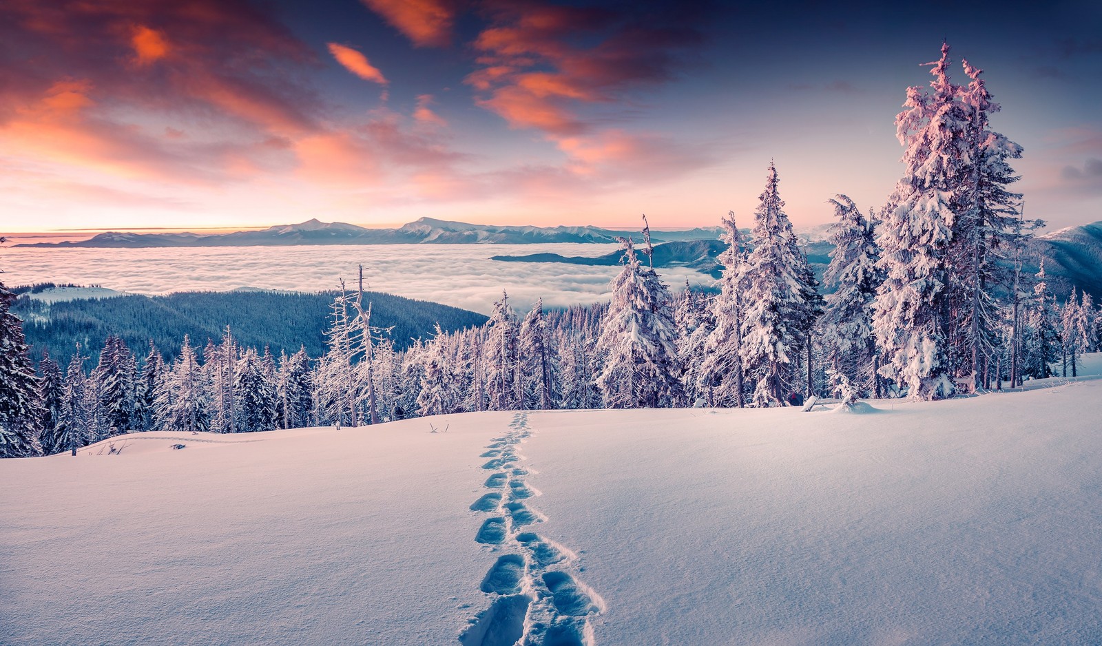 Uma trilha de pegadas na neve levando a uma montanha (inverno, neve, natureza, árvore, congelamento)