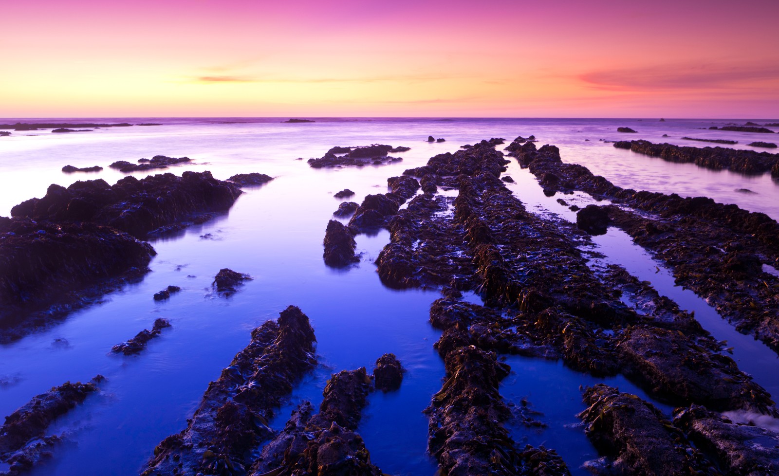 A purple sunset over the ocean with rocks and water (fitzgerald marine reserve, sunset, california, usa, moss beach)