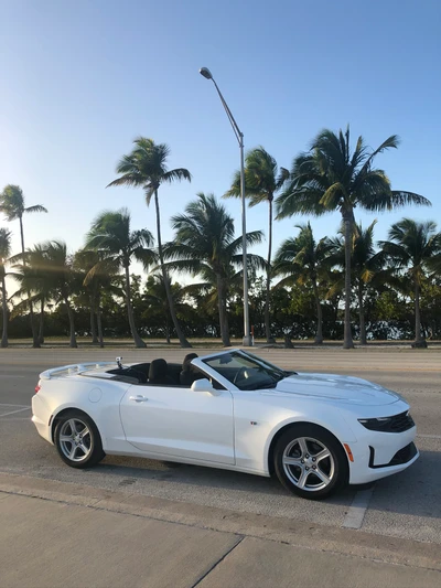 шевроле камаро, chevrolet camaro, майами, кабриолет, король