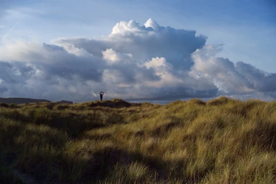 Silhouette d'une figure contre un ciel crépusculaire sur des prairies