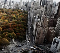 voitures, ville, parc, horizon