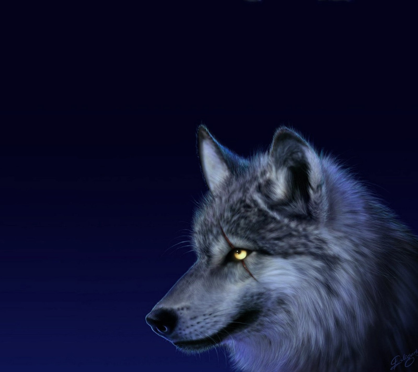 A close up of a wolf with yellow eyes in the dark (animal, wolf)