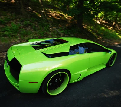 carros, verde, lambo, lamborghini, murciélago