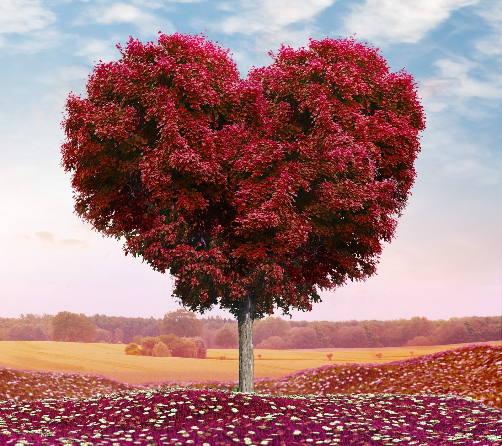 Téléchargez le fond d'écran cœur, arbre en forme de cœur, amour, rouge, romance