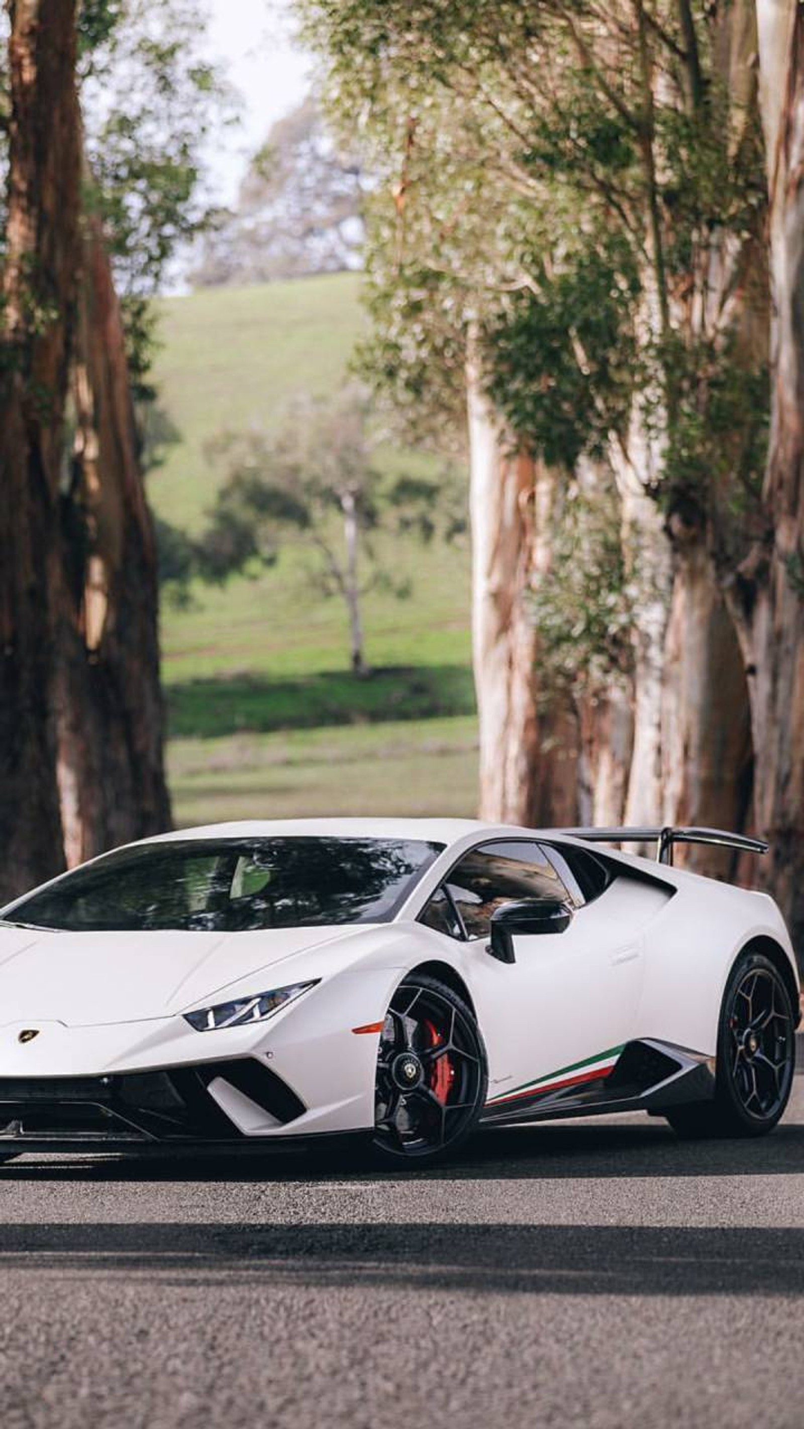 Descargar fondo de pantalla toro, coche, coches, huracan, hipercoche