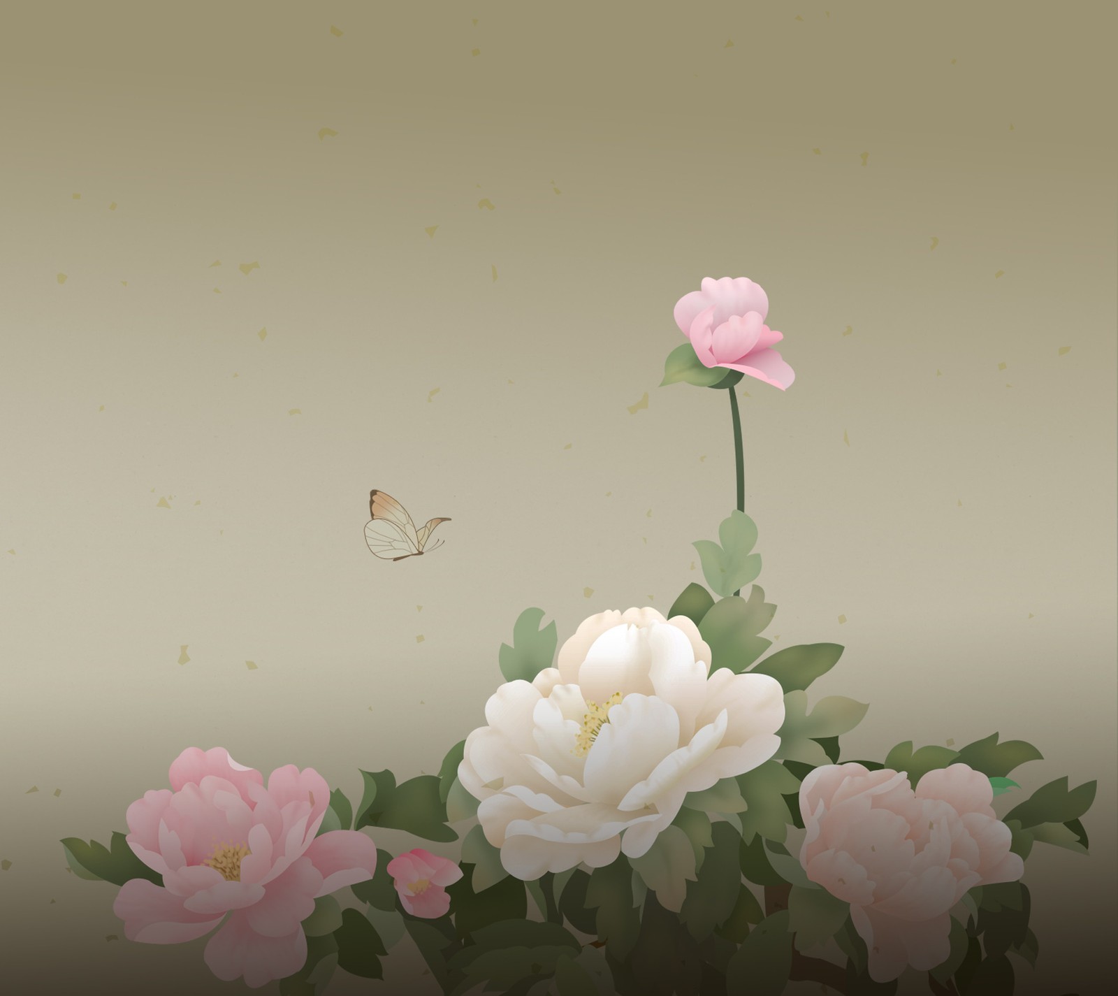 Descargar fondo de pantalla abstracto, peony background