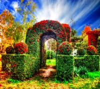 Arco verde exuberante adornado con flores vibrantes en un paisaje escénico