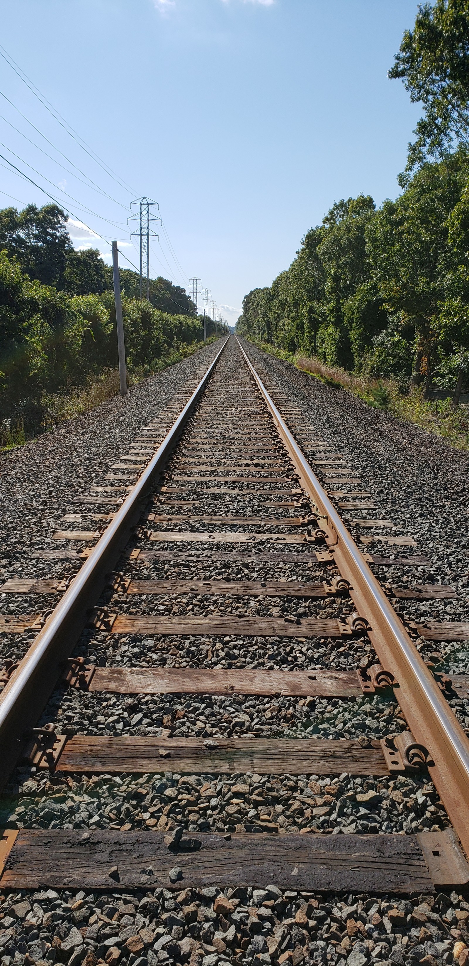 Il y a des voies de train vides et sans voitures (train, pistes)