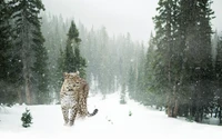 Leopardo de las nieves en un bosque invernal en un paisaje nevado