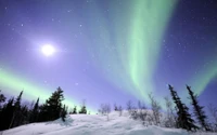 Aurora encantadora sobre uma paisagem coberta de neve sob uma noite estrelada