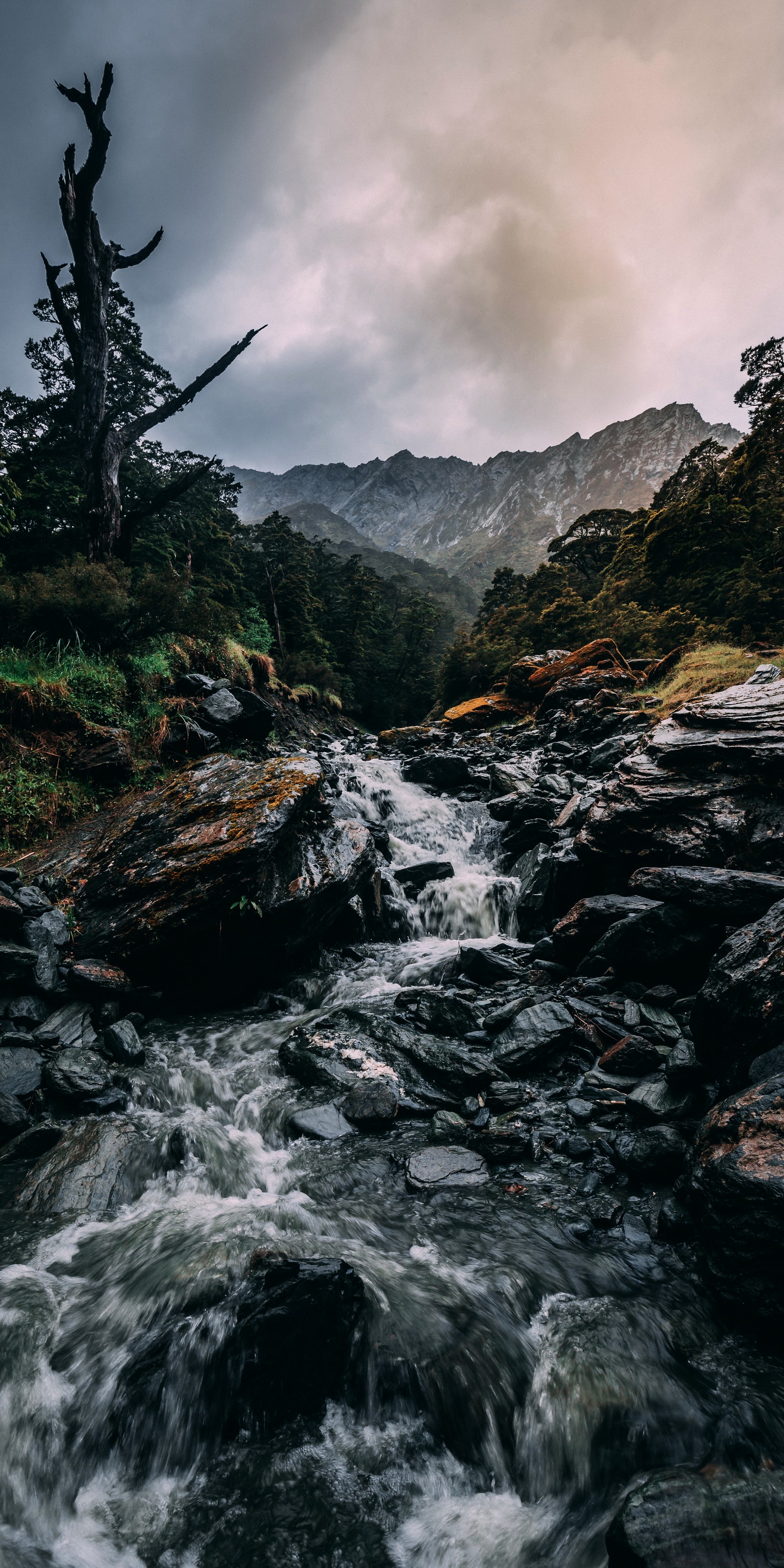 Durch ein felsiges tal fließt ein fluss mit einem berg im hintergrund (natur, wasserfall, wolke, wasser, pflanze)