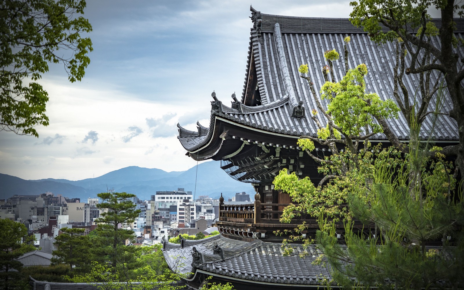 Vista de una pagoda con vista a la ciudad de fondo (arquitectura china, leipzig, arquitectura, nube, día)