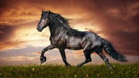 Majestic Black Stallion Galloping Under a Dramatic Sky