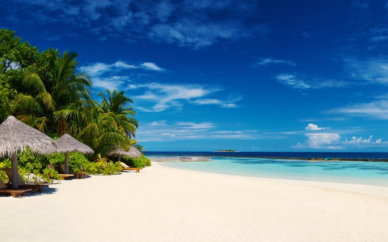 Арабский пляж с хижинами и пальмами в солнечный день (baros maldives, остров, морской пейзаж, тропический пляж, синее небо)